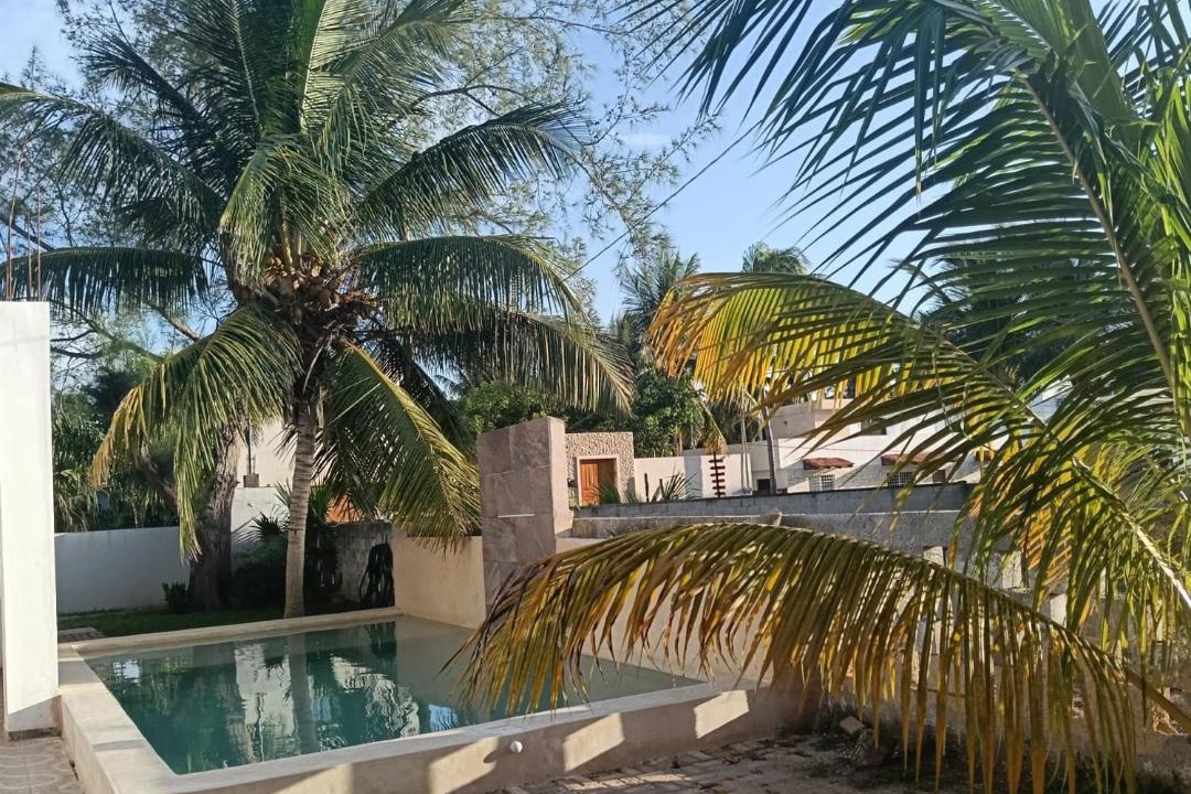 Photo of Others in Sisal