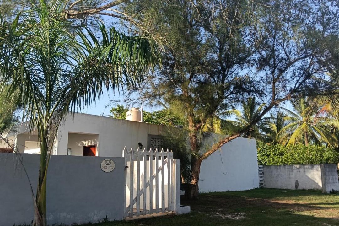 Photo of Others in Sisal