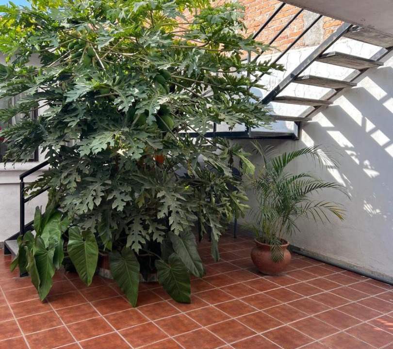 Photo of Patio Balcony in Aguascalientes