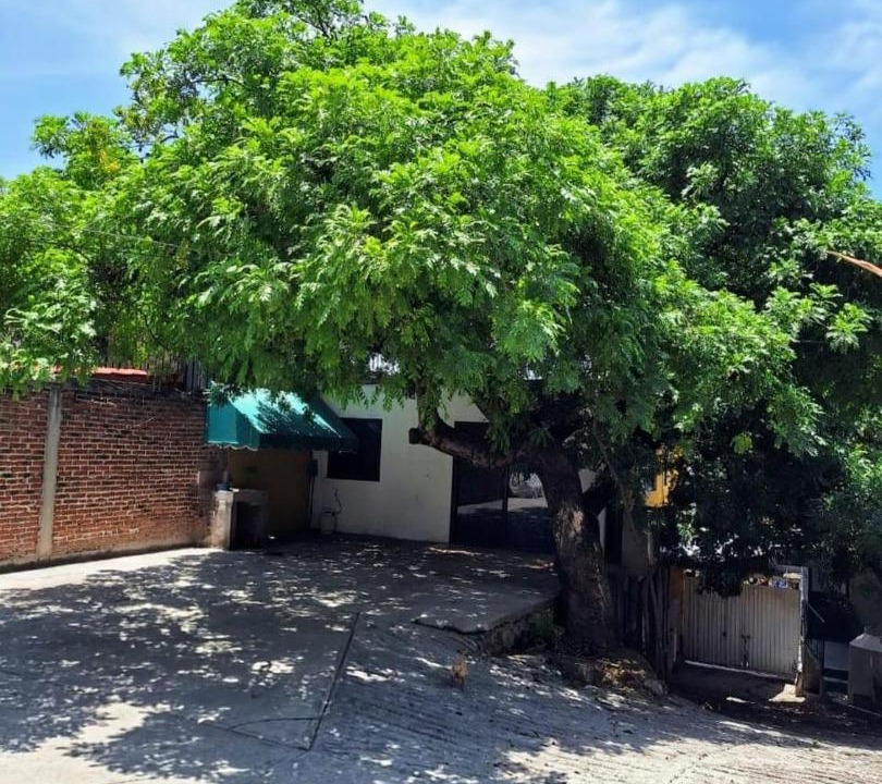 Photo of Others in Jiutepec