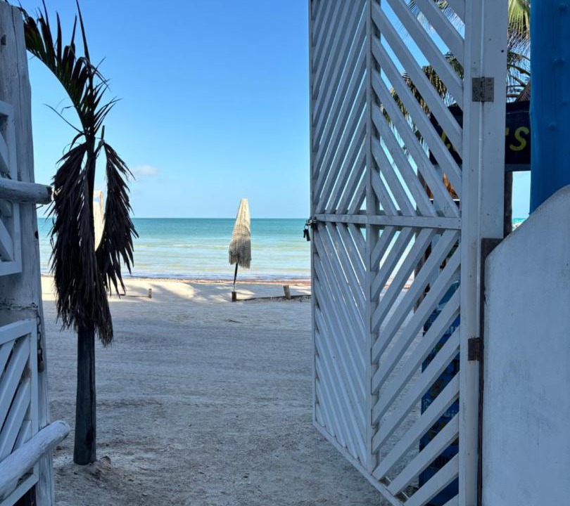 Photo of Others in Isla Holbox