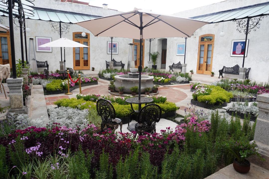 Photo of Others in Huamantla