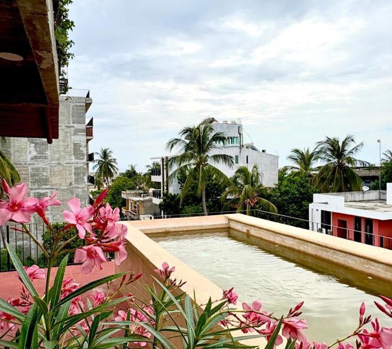 Photo of Others in Los Tamarindos