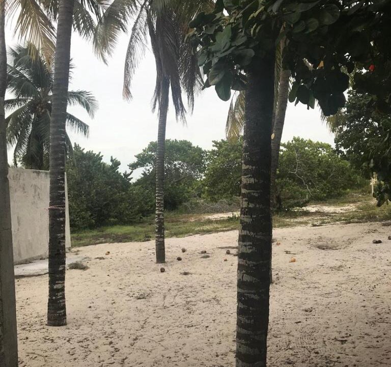 Photo of Others in Chelem