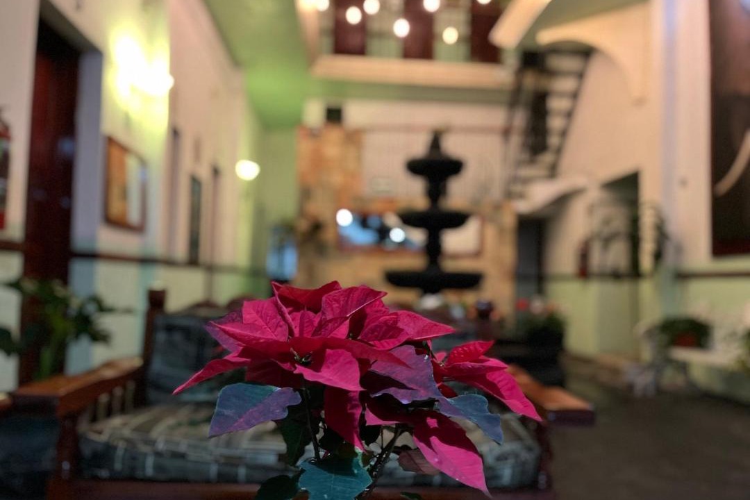 Photo of Others in Xalapa