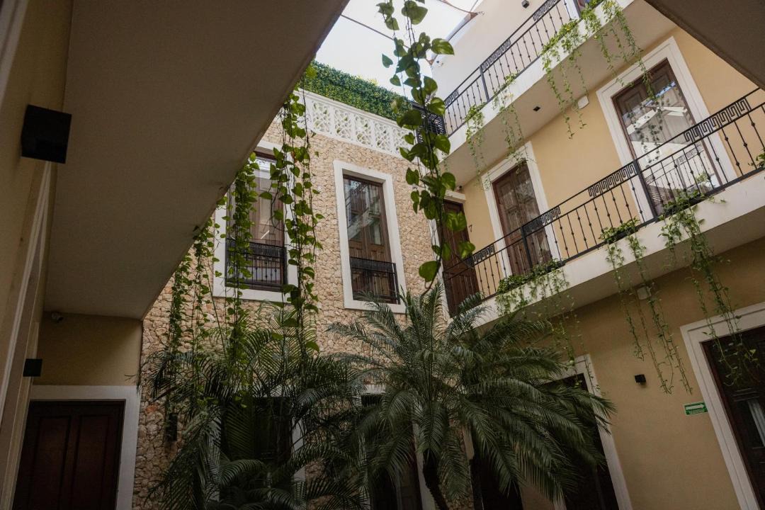 Photo of Others in Zona Paseo Montejo