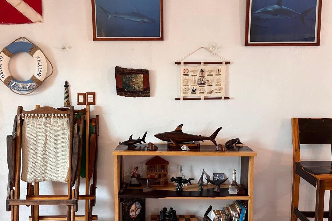 Photo of Others in Chuburna Puerto