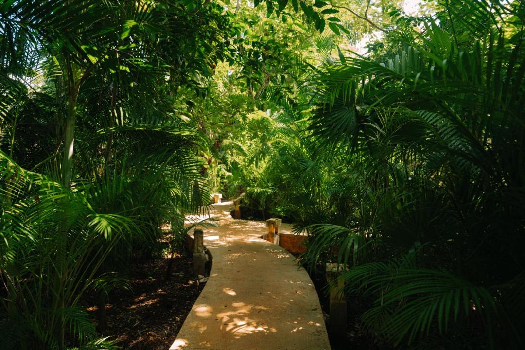 Photo of Others in Coba