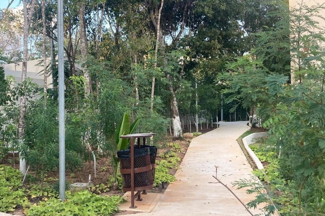 Photo of Outdoor in Puerto Juarez