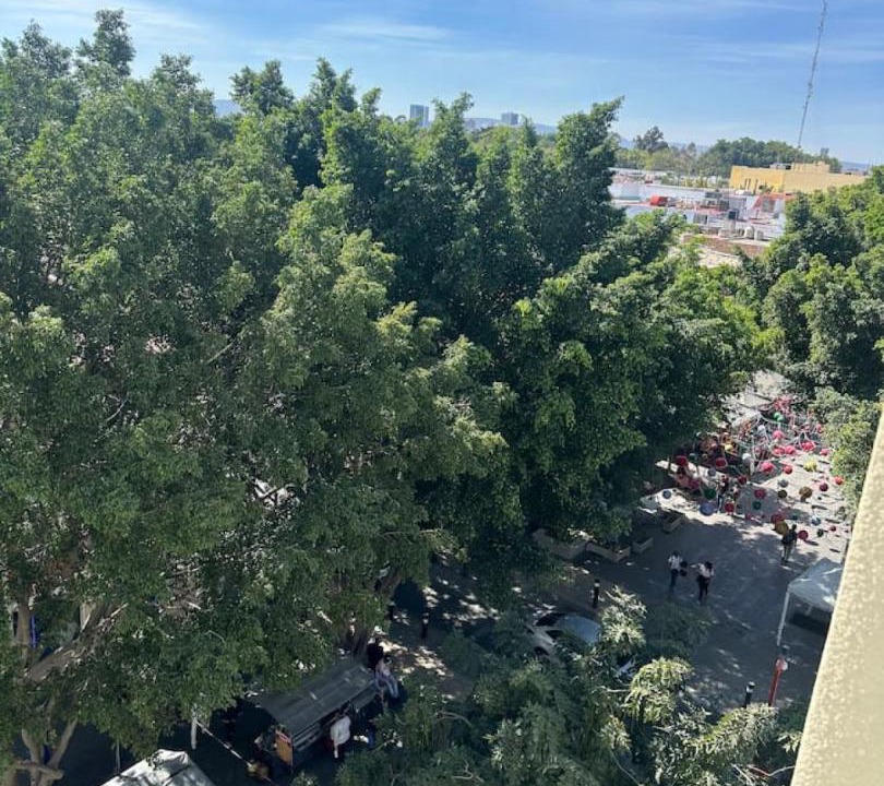 Photo of Others in Zapopan