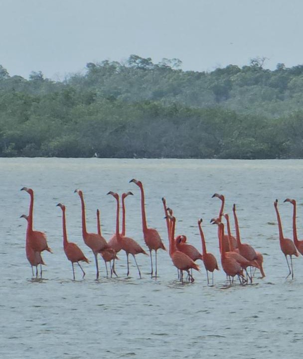 Photo of Others in El Cuyo