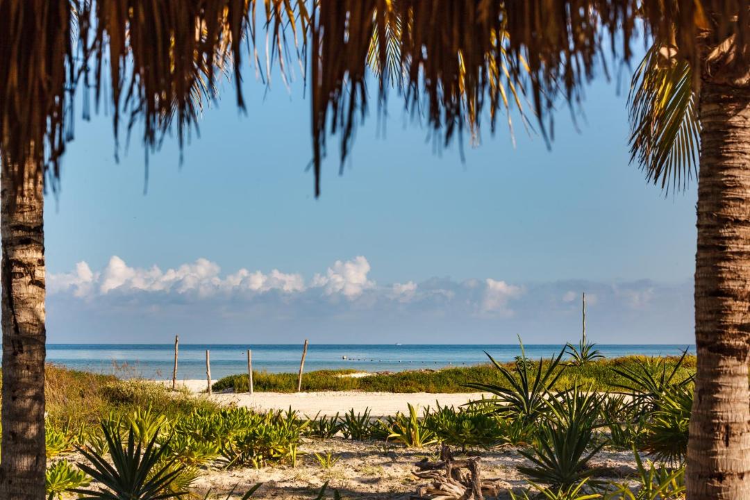 Photo of Others in Isla Holbox