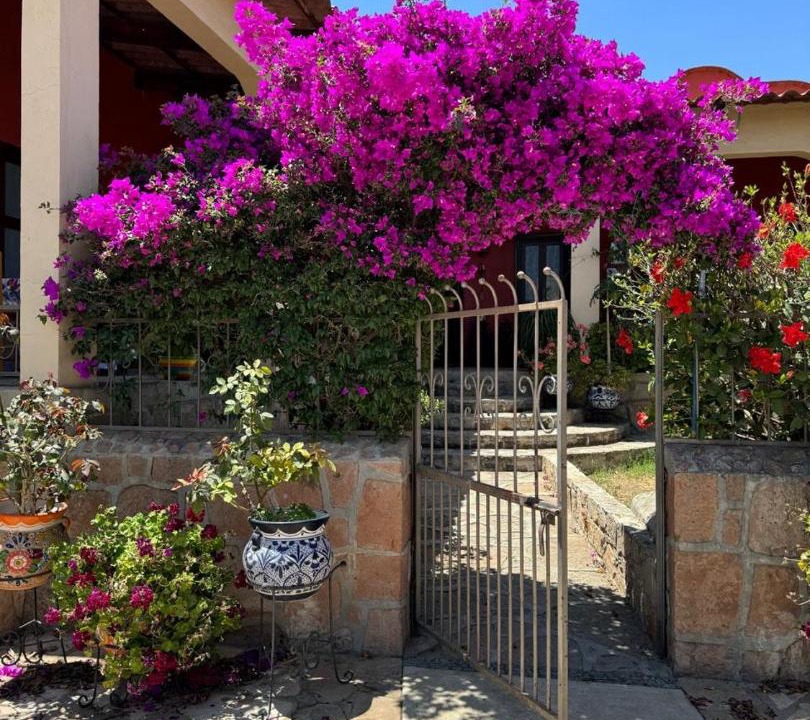 Photo of Others in Tequisquiapan