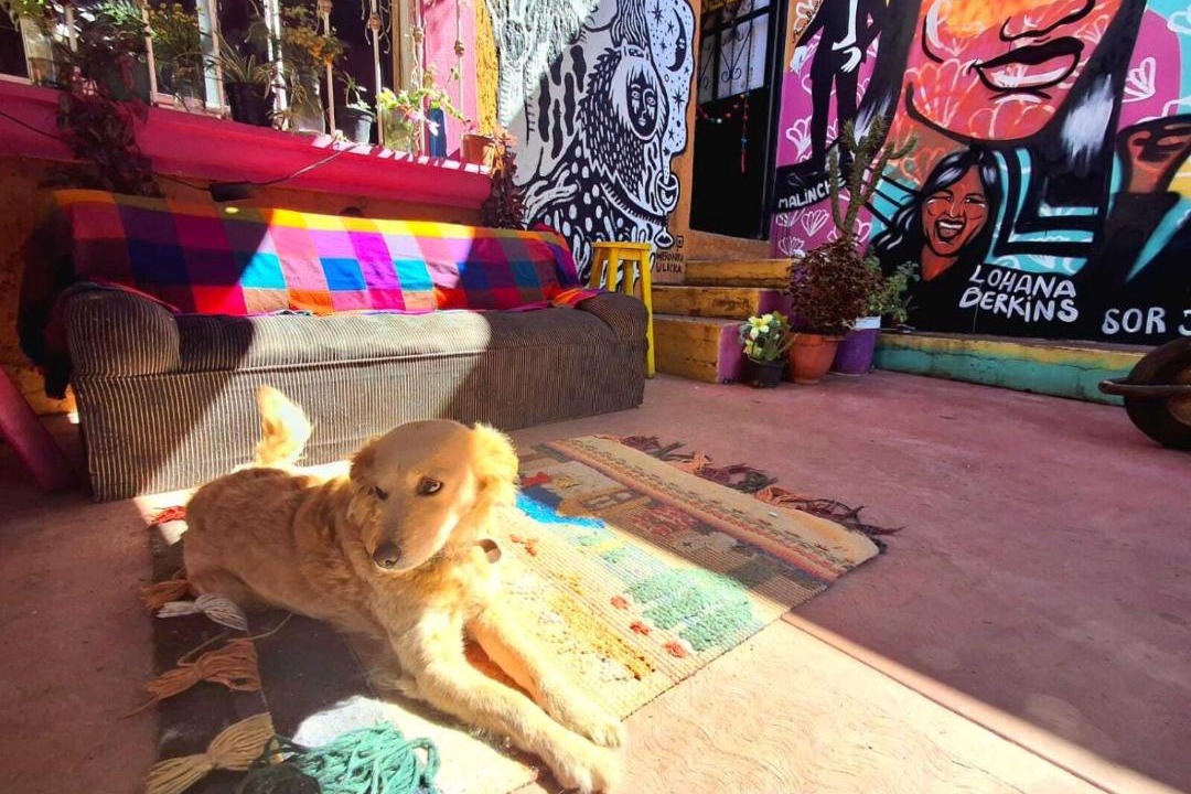 Photo of Others in De Guadalupe