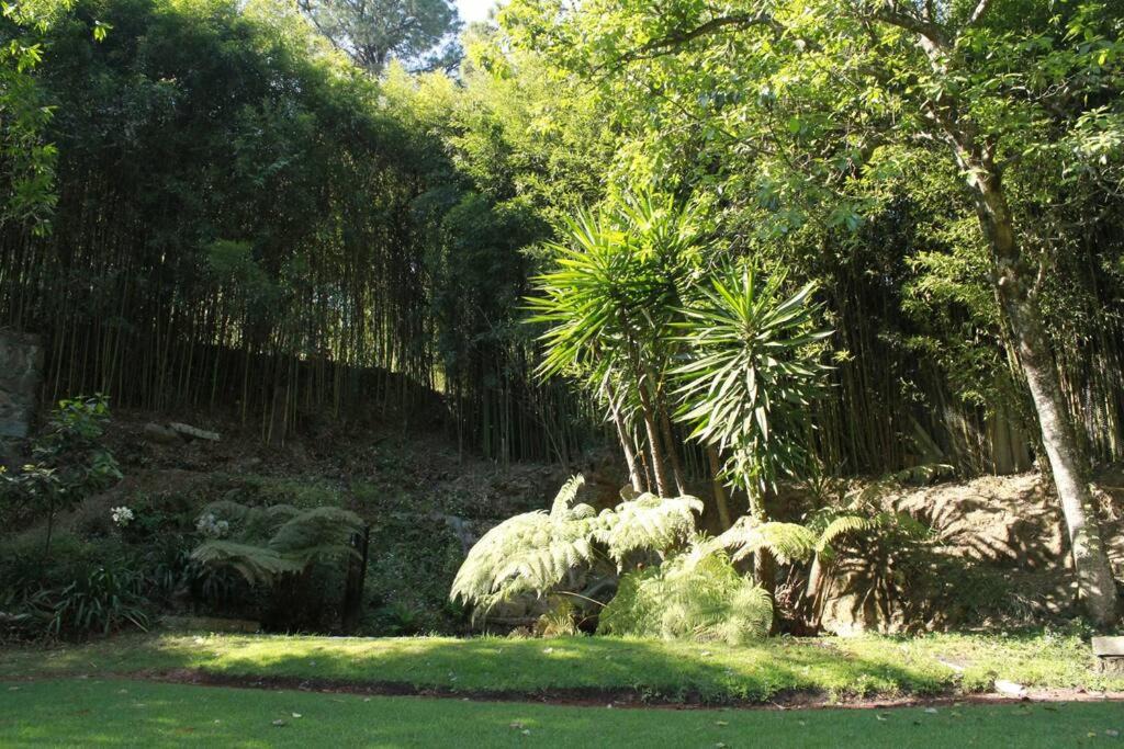 Photo of Others in Valle de Bravo