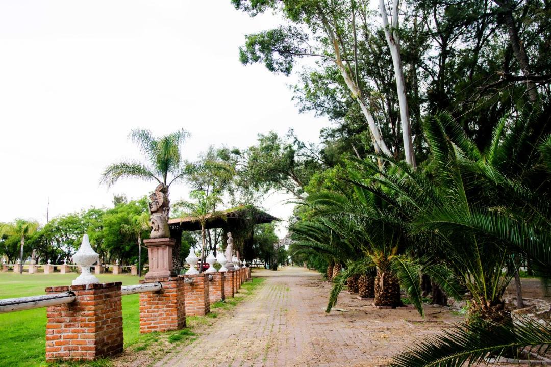Photo of Others in San Isidro del Llanito