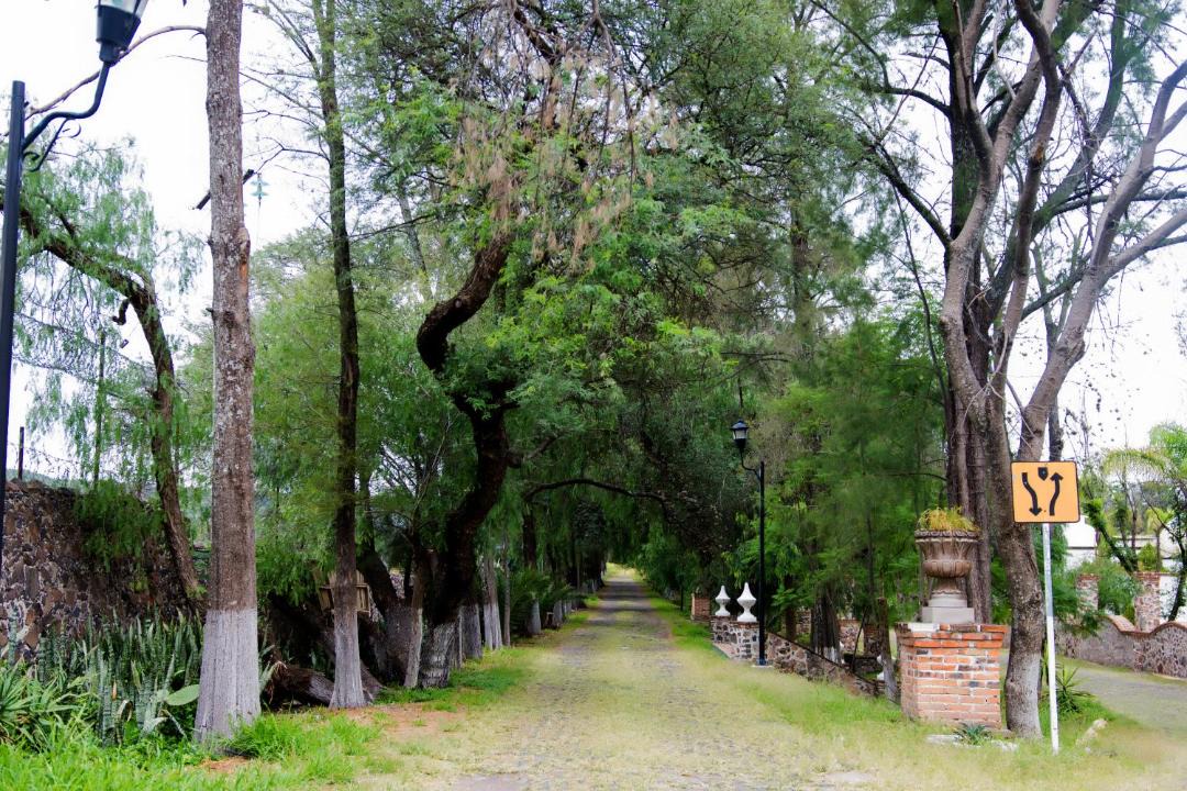 Photo of Others in San Isidro del Llanito