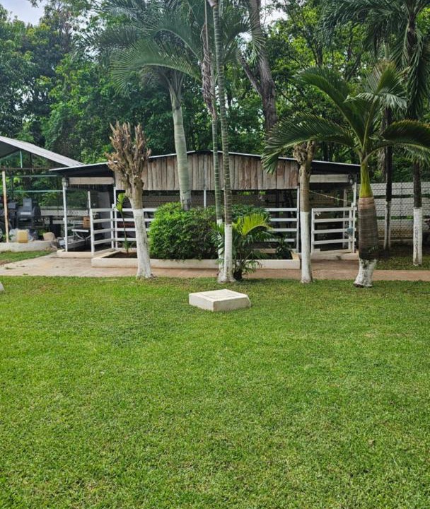 Photo of Others in Uayamon