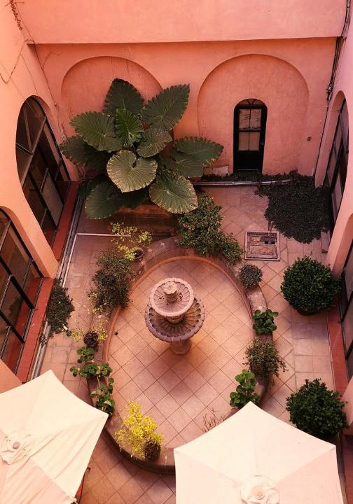Photo of Others in Zacatecas Centro