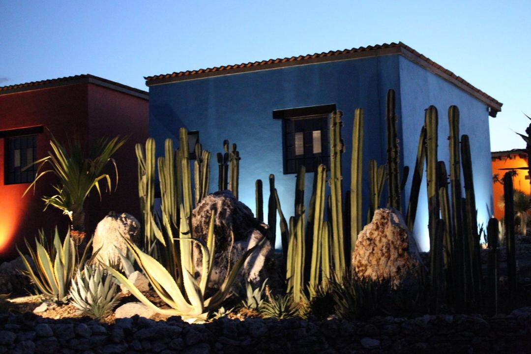 Photo of Others in San Miguel de Allende