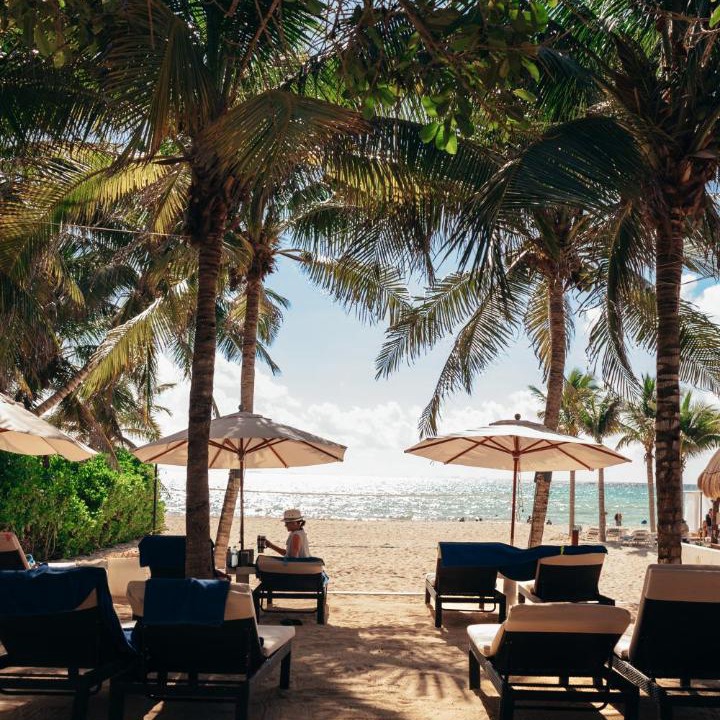 Photo of Others in Playacar