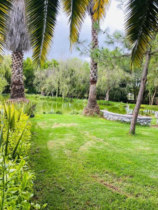 Photo of Outdoor in San Salvador