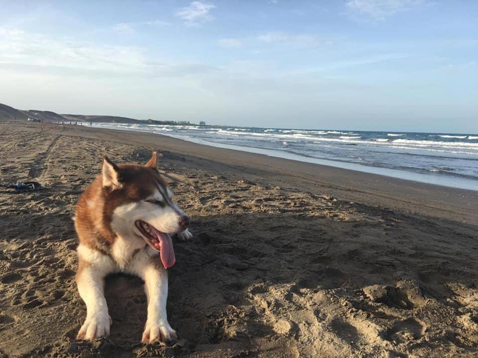 Photo of Others in Playa Chachalacas
