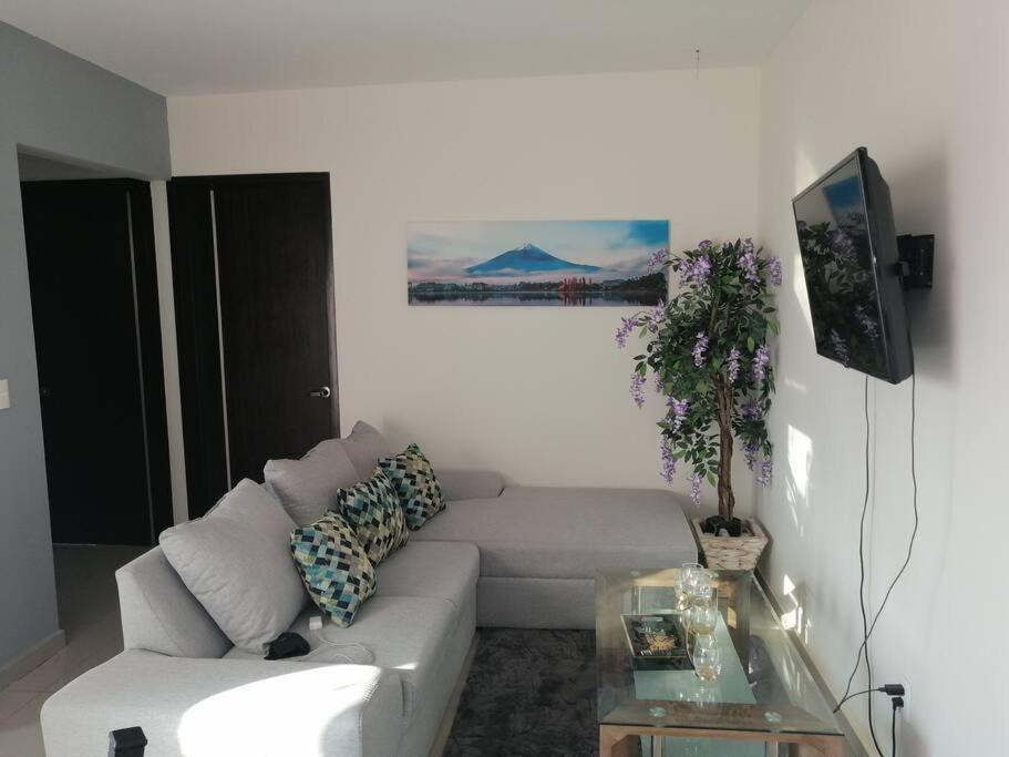 Photo of Livingroom in Acapantzingo