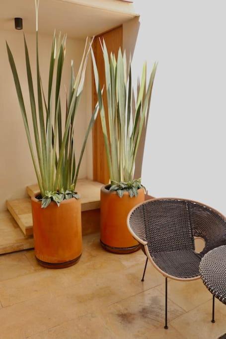 Photo of Livingroom in Centro