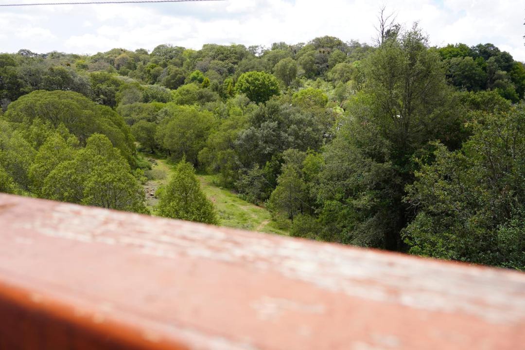 Photo of Others in Huasca De Ocampo