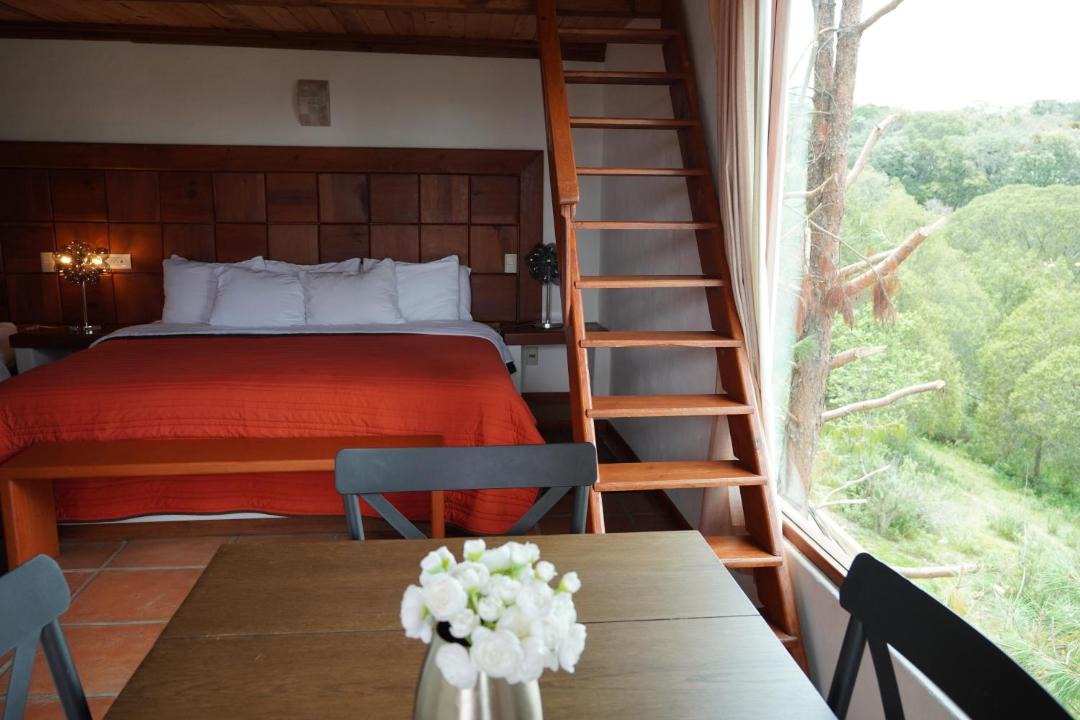 Photo of Others in Huasca De Ocampo