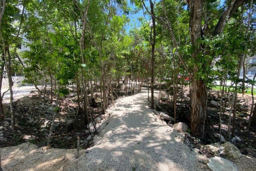 Photo of Outdoor in Puerto Juarez