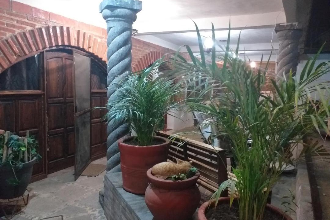 Photo of Others in Huasca De Ocampo