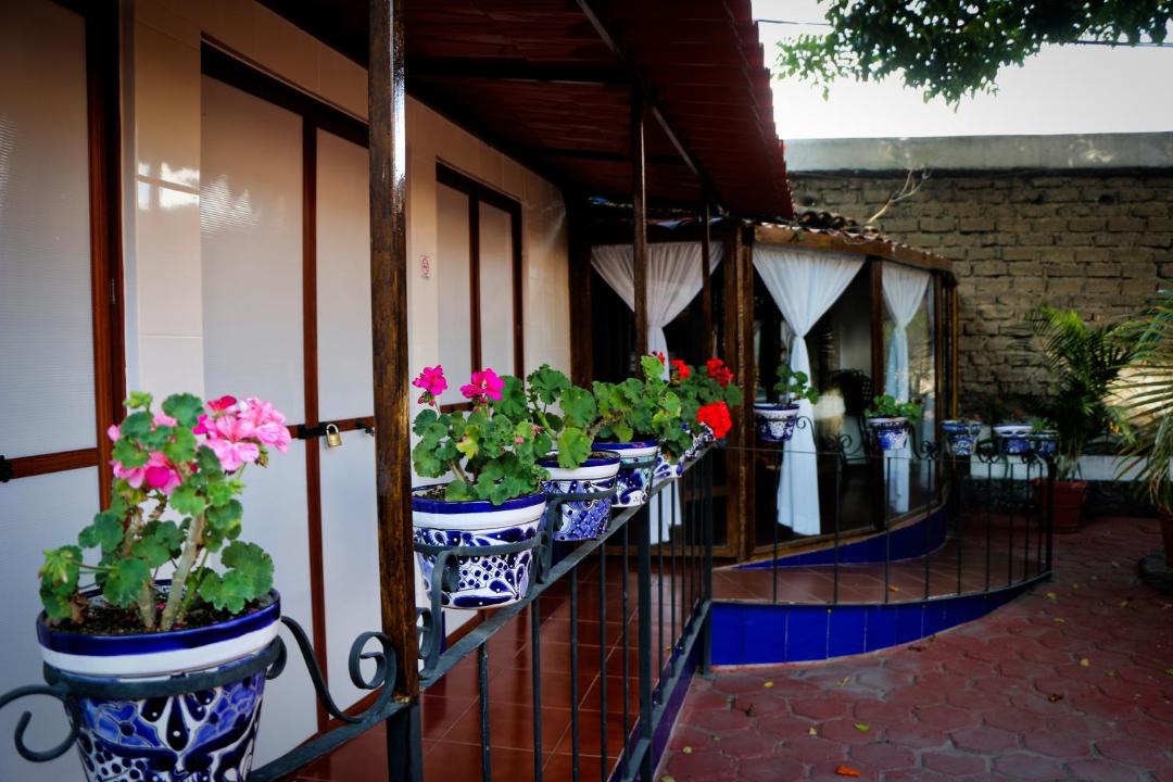 Photo of Others in Atlixco