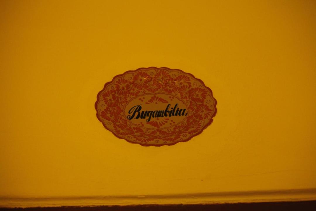 Photo of Others in Central Cuernavaca