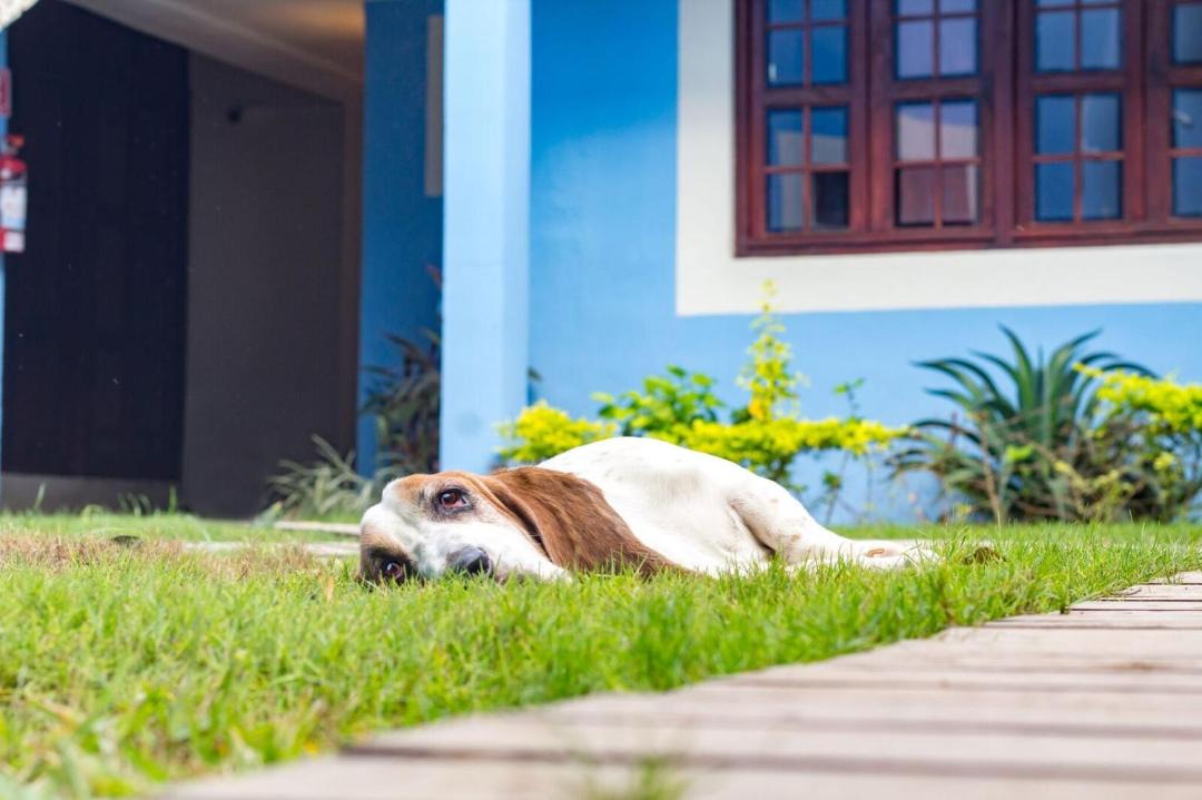 Photo of Others in Campeche