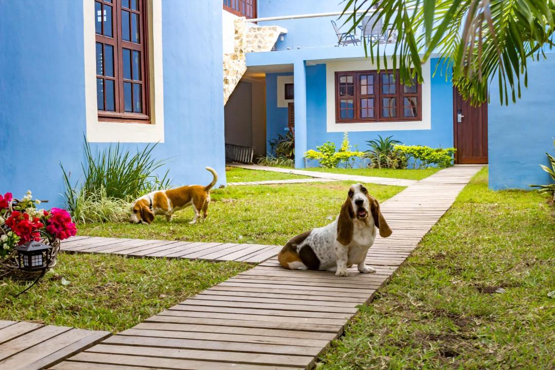 Photo of Others in Campeche