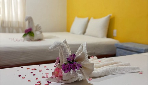 Comfort Double or Twin Room