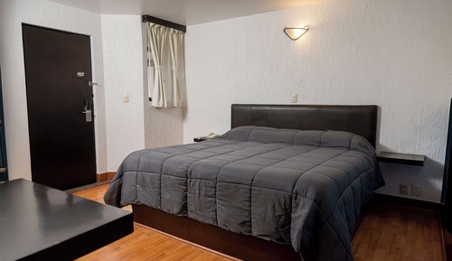Room, 1 King Bed