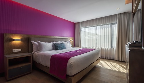 Standard Suite, 1 Queen Bed