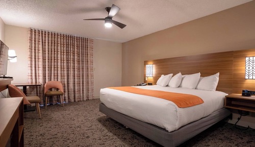 Standard Room 1 King Bed with Balcony/Patio (North)