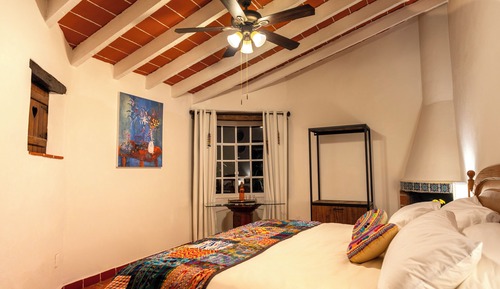 Suite Ave de Paraiso
