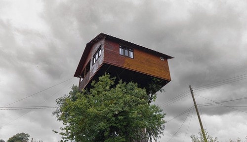 Panoramic Tree House, Mountain View