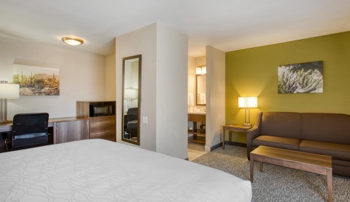 Standard Room, 1 King Bed, Non Smoking, Refrigerator & Microwave (Pet Friendly;with Sofabed)