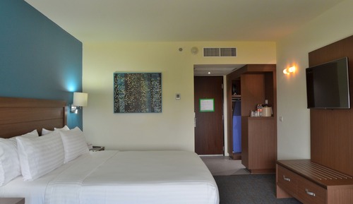 Standard Room, 1 King Bed, Balcony, Pool View