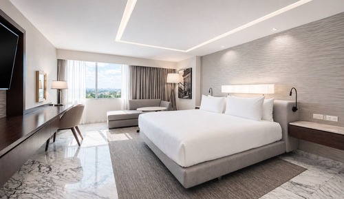 Suite, 1 King Bed (Regency)