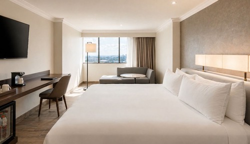 Room, 1 King Bed