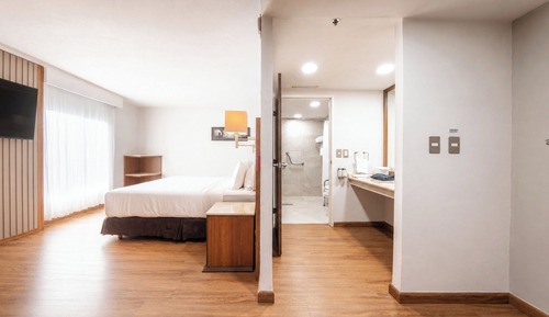 Standard Room, 1 King Bed, Accessible