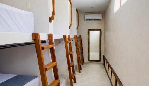 Bunk Bed in Mixed Dormitory Room