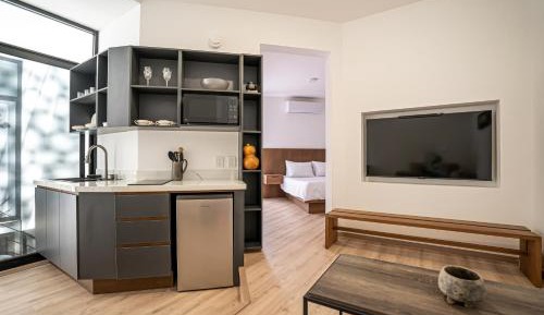 Deluxe One-Bedroom Apartment